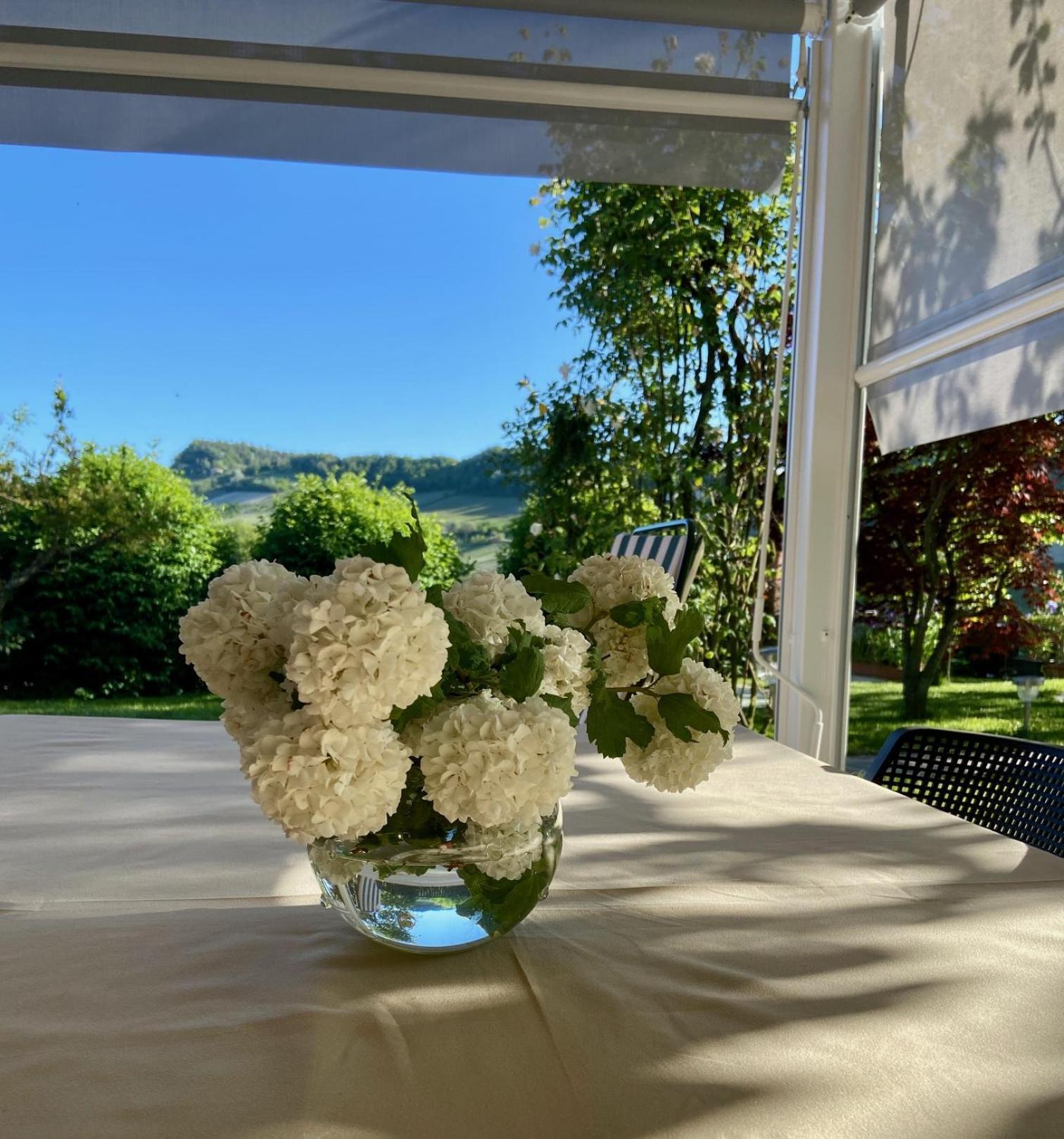 Residence Delle Rose Barolo Kültér fotó